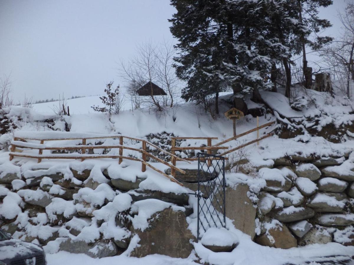 Panorama Ferienhaus Ematberg Mit Bergblick Und Sauna Niedernsill Zewnętrze zdjęcie